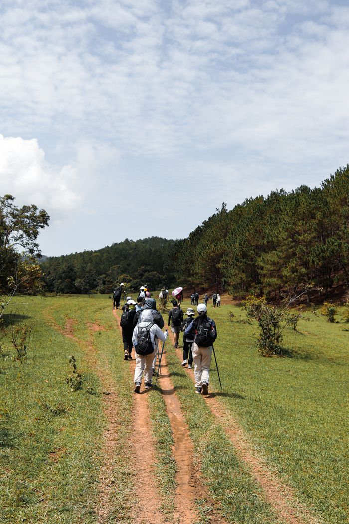 Group of hikers trekking through Lâm Đồng forest, surrounded by lush greenery.