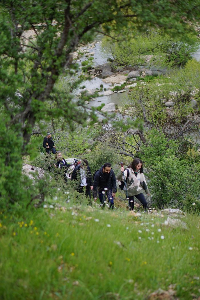 A group of adult hikers explores a green landscape with trees and rocks, enjoying a nature trail.