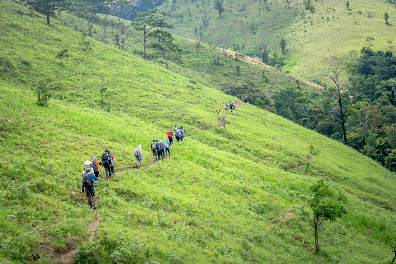 Back view of unrecognizable travelers walking on path through green grassy slope of mountain in highland on sunny summer day